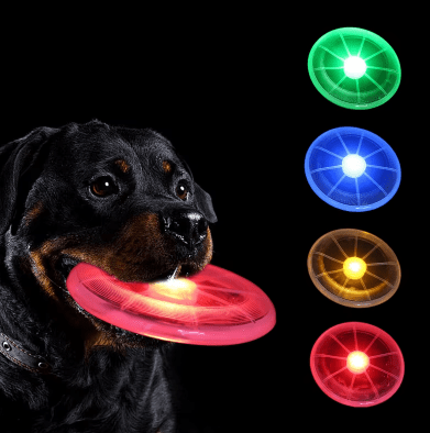 Frisbee Lumineux pour Chien – Jouez sans limites, même la nuit - Boutique Ecom