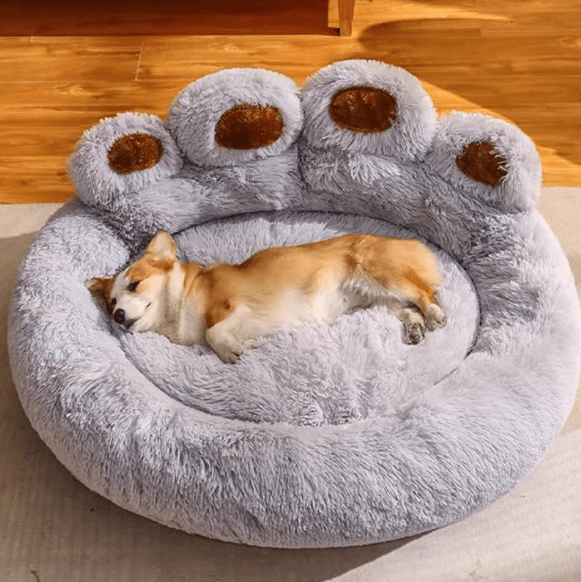 Canapé Moelleux – Un cocon de douceur et de confort - Boutique Ecom