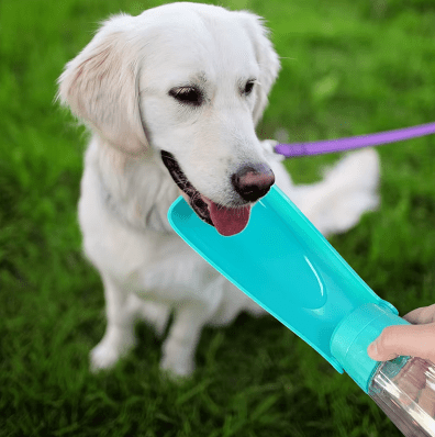 Gourde pour Chien – Hydratation facile, partout et à tout moment - Boutique Ecom